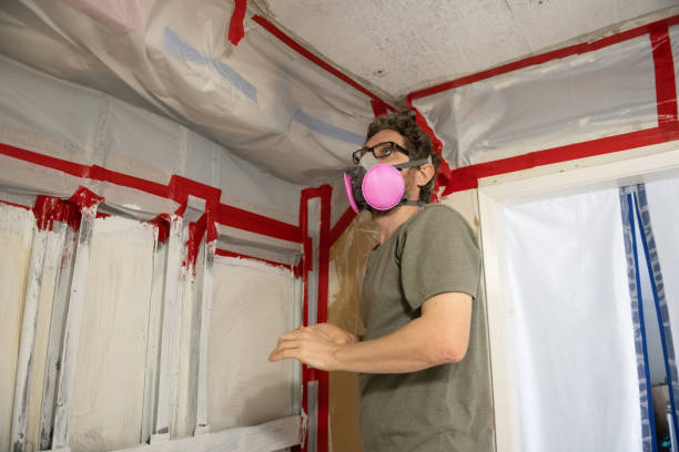 Best Biohazard Mold Removal  in Chalmette, LA